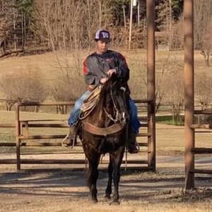 Meet your Posher, Kolby